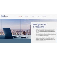 SEOtjenester logo - Similar company to Techzei