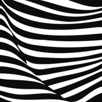 zebra | group GmbH logo - Similar company to Cromatics