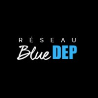 BlueDEP logo - Similar company to Fusion Piscine Premier Reseau Français De Magasins Indépendants