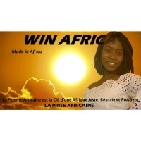 Africa Insight Consultants logo - Similar company to Conexaf | Telecoms