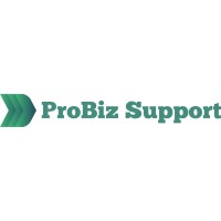 ProBiz Support LLC logo - Similar company to Baon Enterprises, Llc