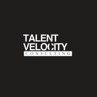 Talent Velocity Consulting logo - Similar company to Talent Velocity