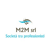 M2M SRL - SOCIETA' TRA PROFESSIONISTI logo - Similar company to Multites S.R.L.