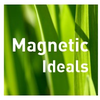Magnetic Ideals logo - Similar company to International Marketing  Lab