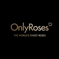 OnlyRoses logo - Similar company to Toronto Flower Gallery