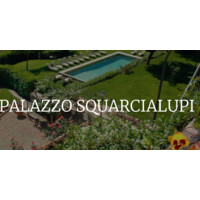 Hotel Palazzo Squarcialupi logo - Similar company to Hotel Executive****, Siena