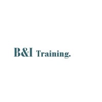 B and I Training logo - Similar company to Learning Design Company Llc
