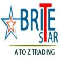 Brite Star MEP trading Co logo - Similar company to Genix Design Consultants Pvt. Ltd.