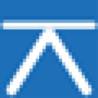 Anapesing logo - Similar company to Básculas Tecbas⚖️