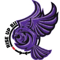 Rise Up Brazilian Jiu Jitsu logo - Similar company to Dedeco Brazilian Jiu-Jitsu