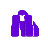 KONG FITNESS logo - Similar company to Divinox