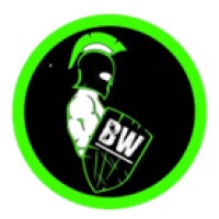 BIZNEZ WARRIORS logo - Similar company to Klgreens