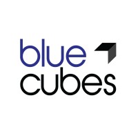 BlueCubes logo - Similar company to Folkhype Studio