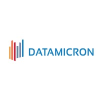 Datamicron logo - Similar company to Catalystedge.Ai