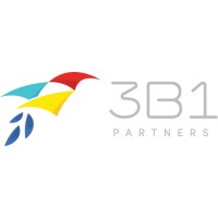 3B1 Partners LLC logo - Similar company to Twocap