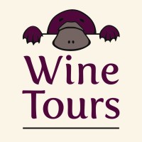 Platypus Tours Ltd logo - Similar company to Emerald Tech Solutions