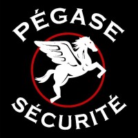 Pégase Sécurité Lorraine logo - Similar company to Cfsi Formations