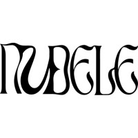 Nubele logo - Similar company to Arenet