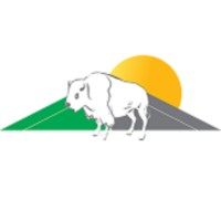 Bison Roofing and Solar logo - Similar company to Assured Solar