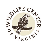 Wildlife Center of Virginia logo - Similar company to Avian Haven