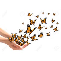 Monarch Realty Inc.