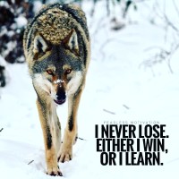 Legends Hub (#MakeItHappen) logo - Similar company to National Council For Curriculum & Assessment