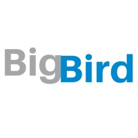 Big Bird Transportation logo - Similar company to Globe Llc