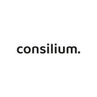 Consilium. logo - Similar company to Mcedison