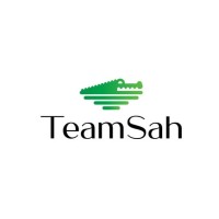 Teamsah Agency logo - Similar company to Test