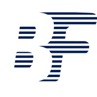 Borg Financial logo - Similar company to Borg Geoscience