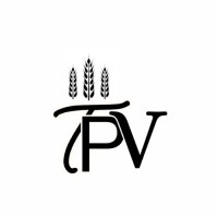 True Prevail Ventures logo - Similar company to Taurus Risk Management