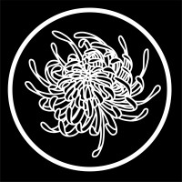 Cult Motion