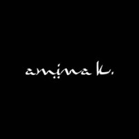 Amina K. logo - Similar company to Zyberweave
