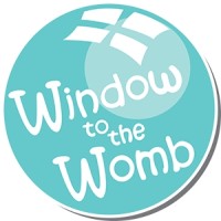 Window To The Womb logo - Similar company to Imaginatal