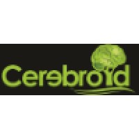 Cerebroid logo - Similar company to Vrstudios.In