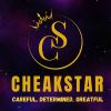 CHEAKSTAR PRIVATE LIMITED logo - Similar company to Samverse.In