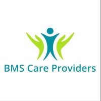BMS Care Providers Limited logo - Similar company to Mesa Education