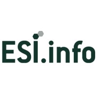 ESI.info logo - Similar company to Iero (Formerly The Flat Company)