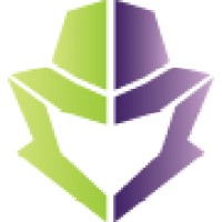 Data Security Understood logo - Similar company to Analytics Impact Network