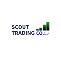 Scout Trading Company SpA logo - Similar company to Automapp Cloud