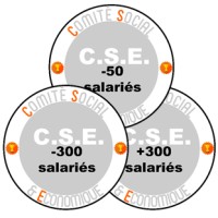 Entraide au profit des CSE/CSSCT logo - Similar company to Delta Formacentre