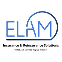 ELAM Insurance Group - Insurance & Reinsurance Solutions logo - Similar company to Elam Business Solution Pvt Ltd