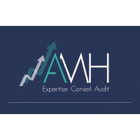 AMH Expertise logo - Similar company to Amp Conseils