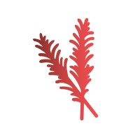 Meatkom logo - Similar company to Cafecache