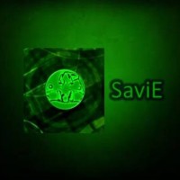 SaviE (Empresa Savi) logo - Similar company to Safi Group Srl