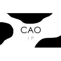 Cao Intellectual Property Services, LLC logo - Similar company to Discover Group (Intellectual Property Rights & Brand Protection Services)