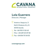 Cavana Internacional S.L logo - Similar company to Butterfly Engineers