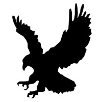 Nighthawk Flight Systems, Inc. logo - Similar company to Lightspeed Aviation