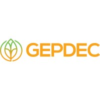 Gepdec Infratech Limited logo - Similar company to Srex Power India Private Limited