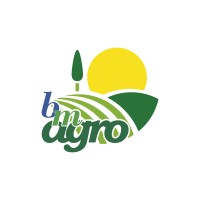 BM AGRO - BOLIVARIANA DE MINERALES logo - Similar company to Smart Agro